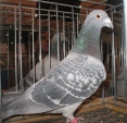 105639img_1245ar.jpg