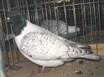131215161.str.mor.n09.jpg