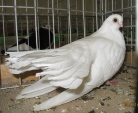 17542589.warnen.lot.n09.jpg