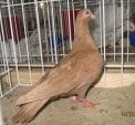 184327108.bud.kr-dzio.kie09.jpg