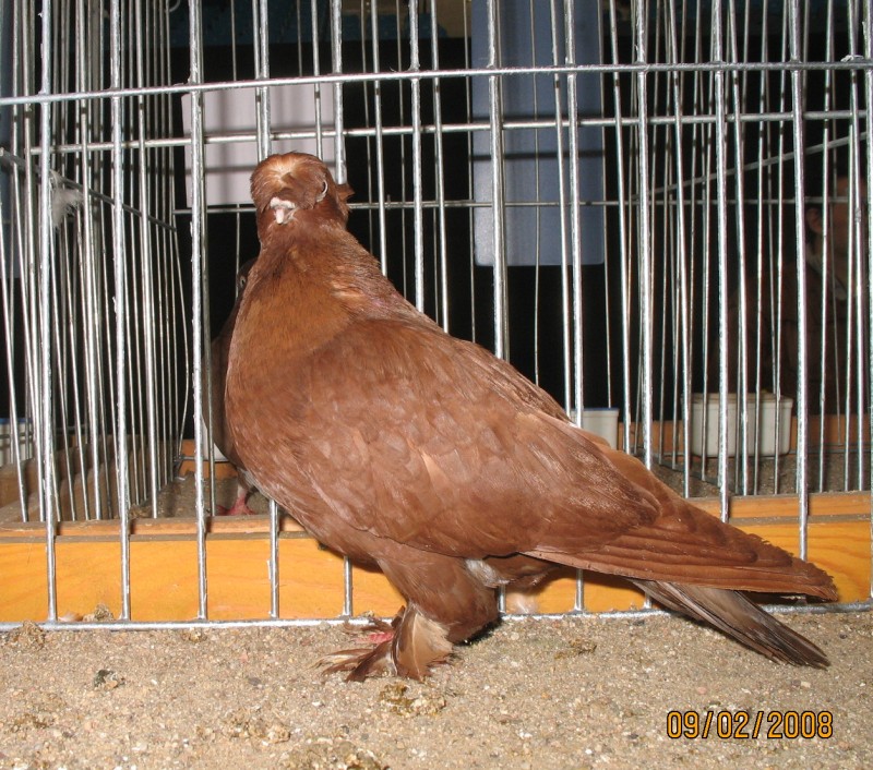 21075460.bielcki.jpg