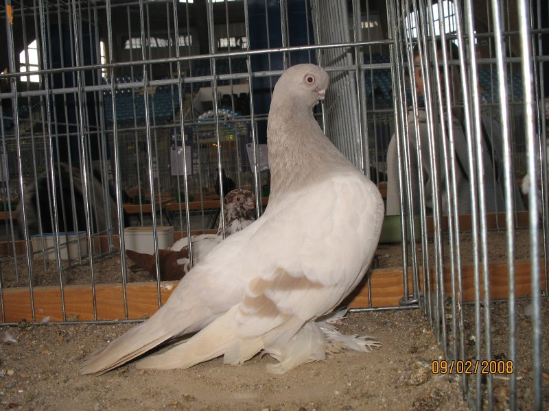 21173894.berl.kr.jpg