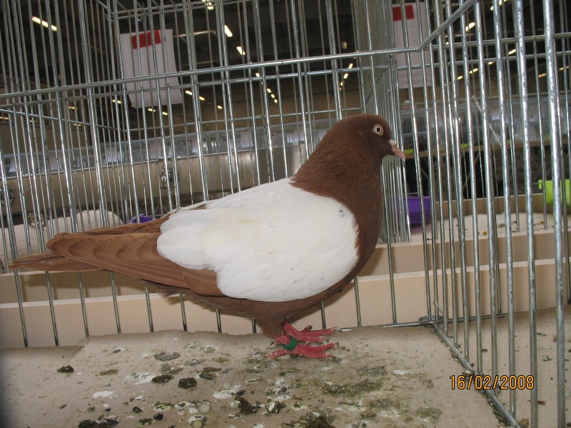 212919245.w-wa.holen.lot.jpg
