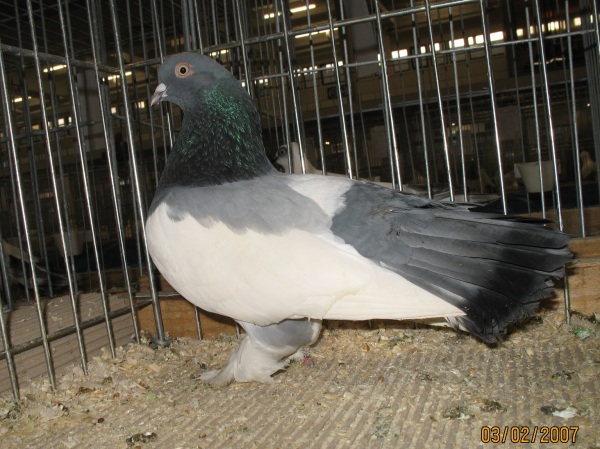 232724191.astrach.jpg
